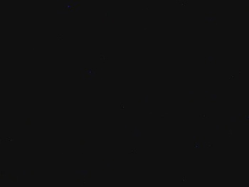 wieauch  10-07-2021 Recorded Video XXX